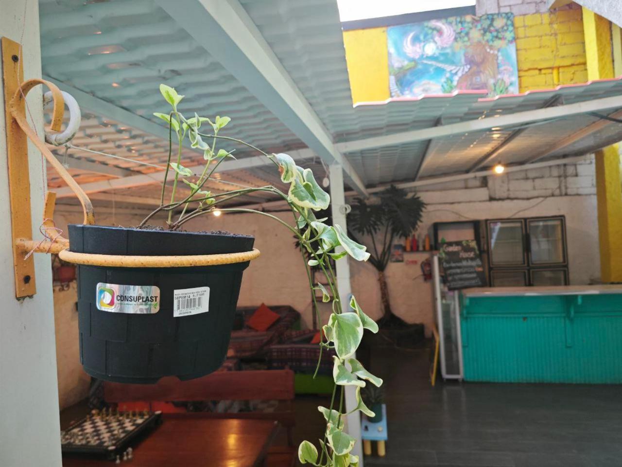 Garden House Hostal Banos  Bagian luar foto