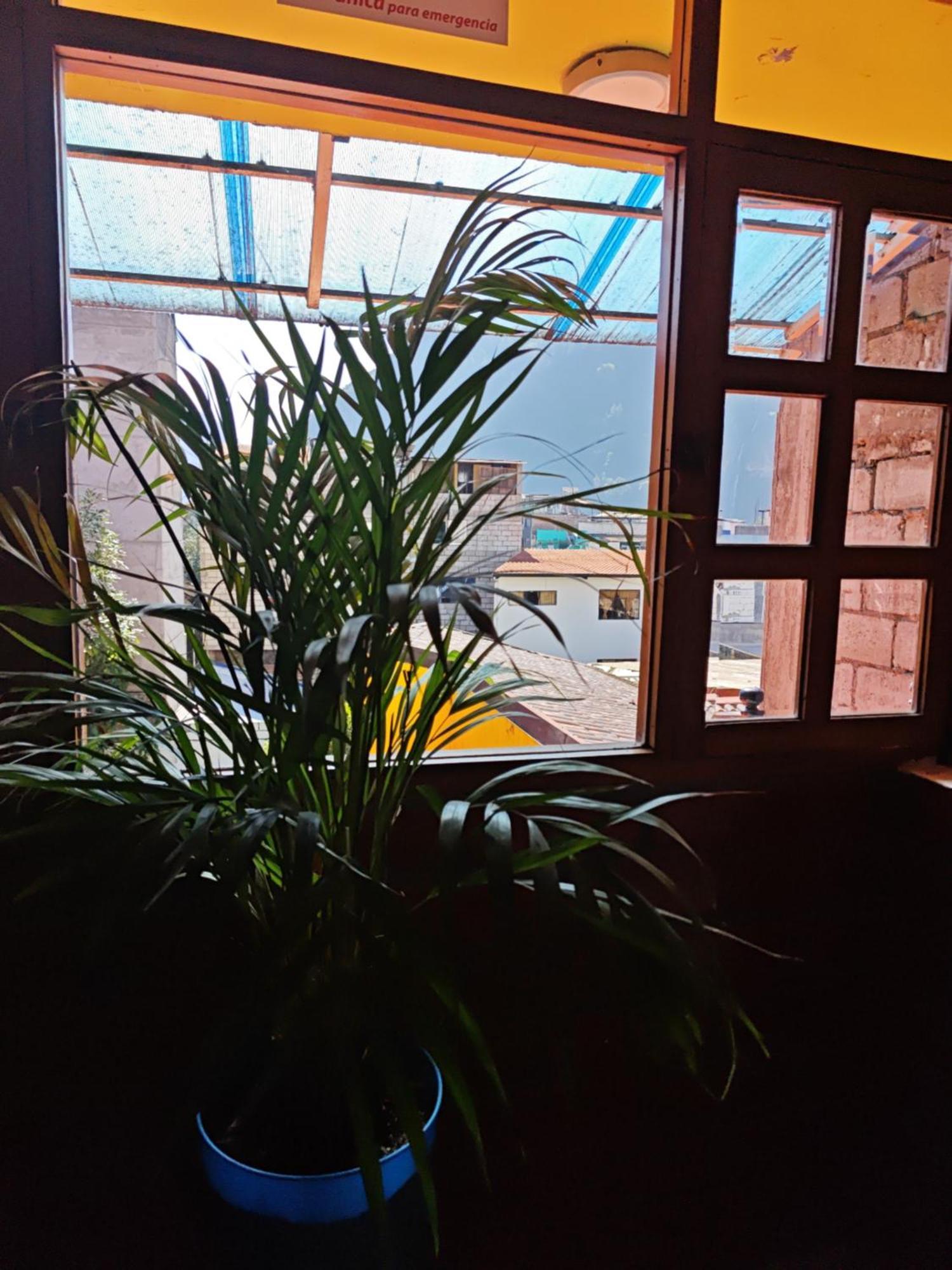 Garden House Hostal Banos  Bagian luar foto