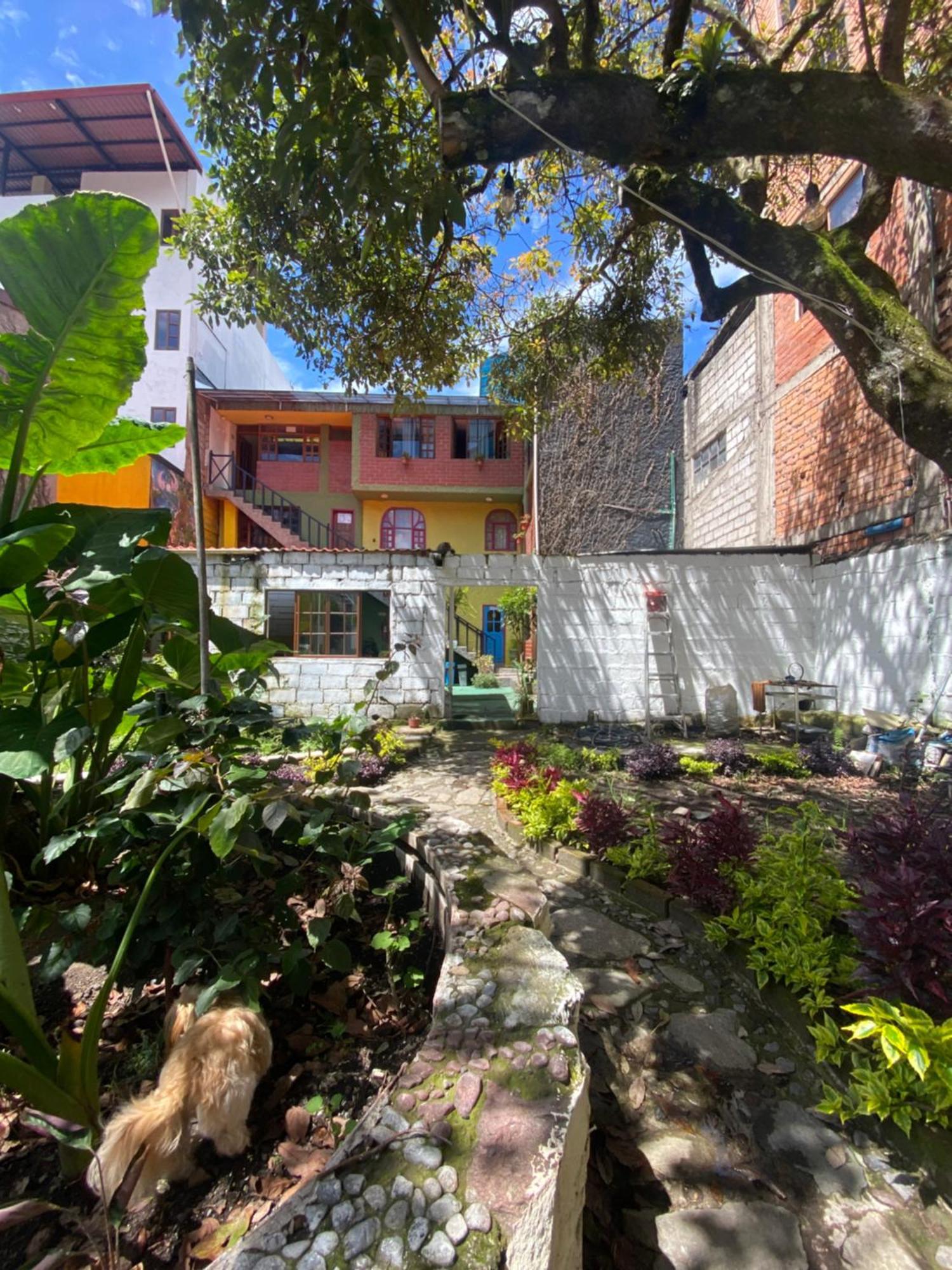 Garden House Hostal Banos  Bagian luar foto